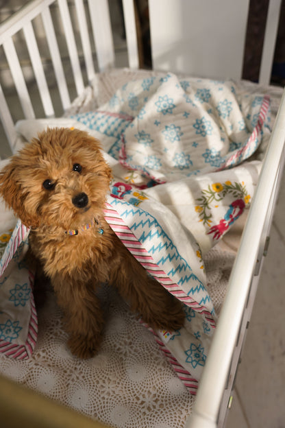 Baby AC Quilt-The Tender Tails