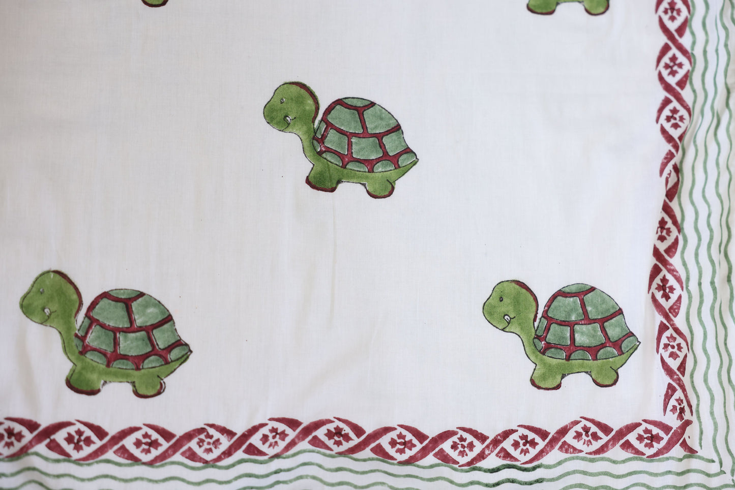 Cozy Turtle